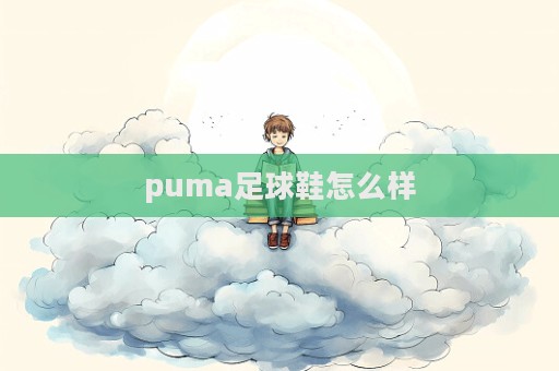 puma足球鞋怎么樣  第1張