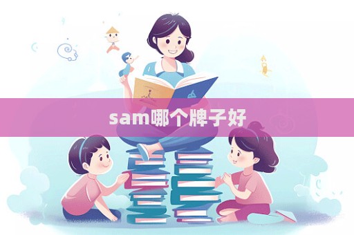 sam哪個牌子好  第1張