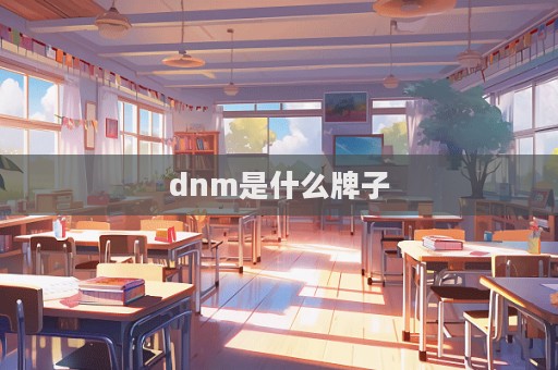 dnm是什么牌子