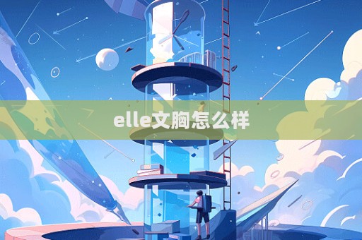 elle文胸怎么樣