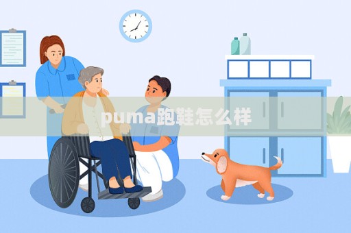 puma跑鞋怎么樣