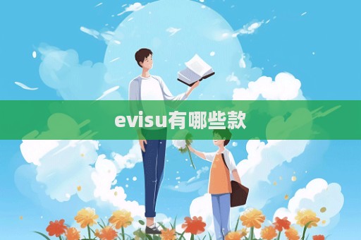 evisu有哪些款