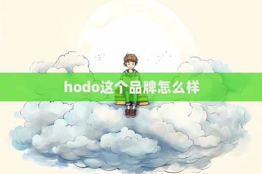 hodo這個品牌怎么樣