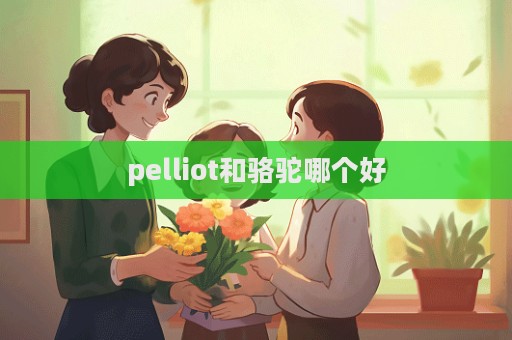 pelliot和駱駝哪個好