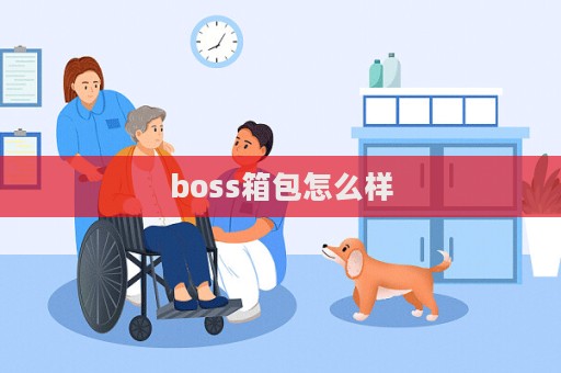 boss箱包怎么樣  第1張