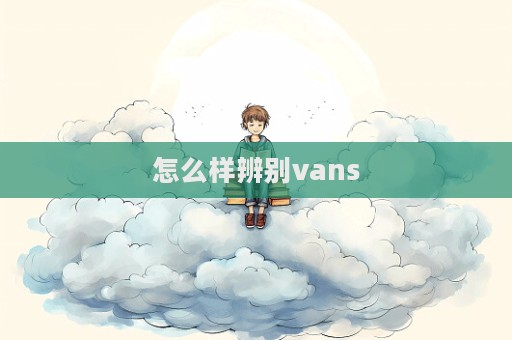 怎么樣辨別vans  第1張