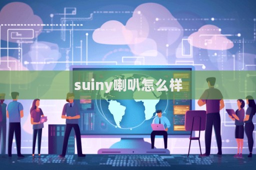 suiny喇叭怎么樣  第1張