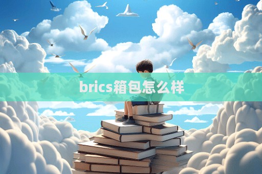 brics箱包怎么樣  第1張