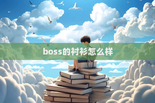 boss的襯衫怎么樣  第1張