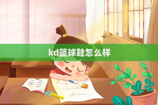 kd籃球鞋怎么樣