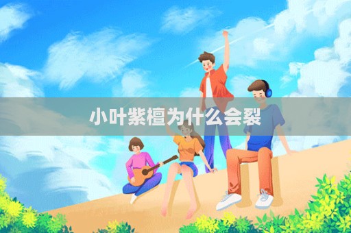 小葉紫檀為什么會(huì)裂  第1張