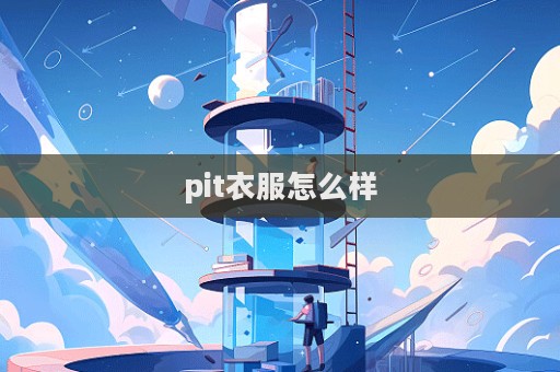 pit衣服怎么樣