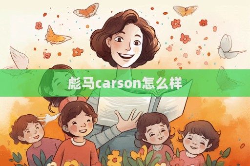 彪馬carson怎么樣