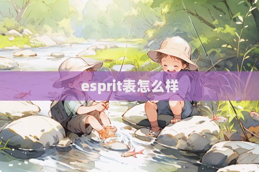 esprit表怎么樣