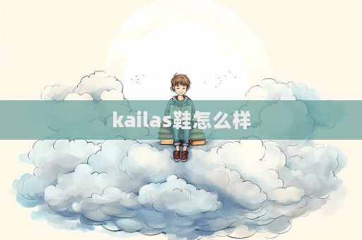 kailas鞋怎么樣  第1張