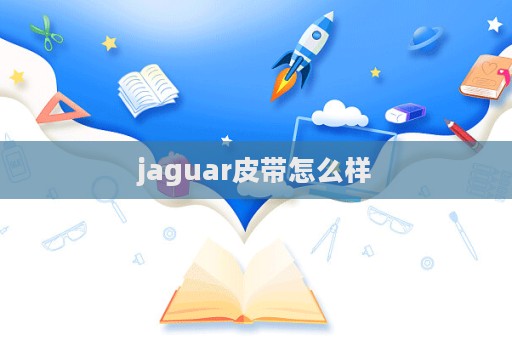 jaguar皮帶怎么樣