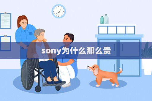 sony為什么那么貴