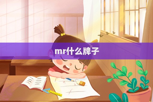 mr什么牌子  第1張