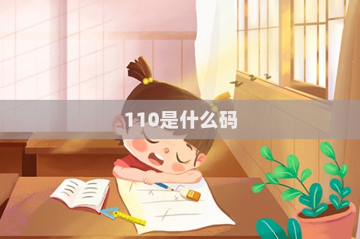 110是什么碼  第1張